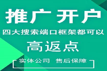 SEM开户全流程解析：成功案例分享