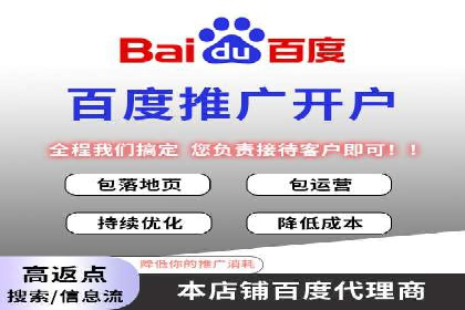 某品牌通过百度广告实现快速增长的案例